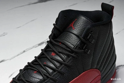 AIR 12 CT8013-002 (2025) Flu JORDAN Game 1017